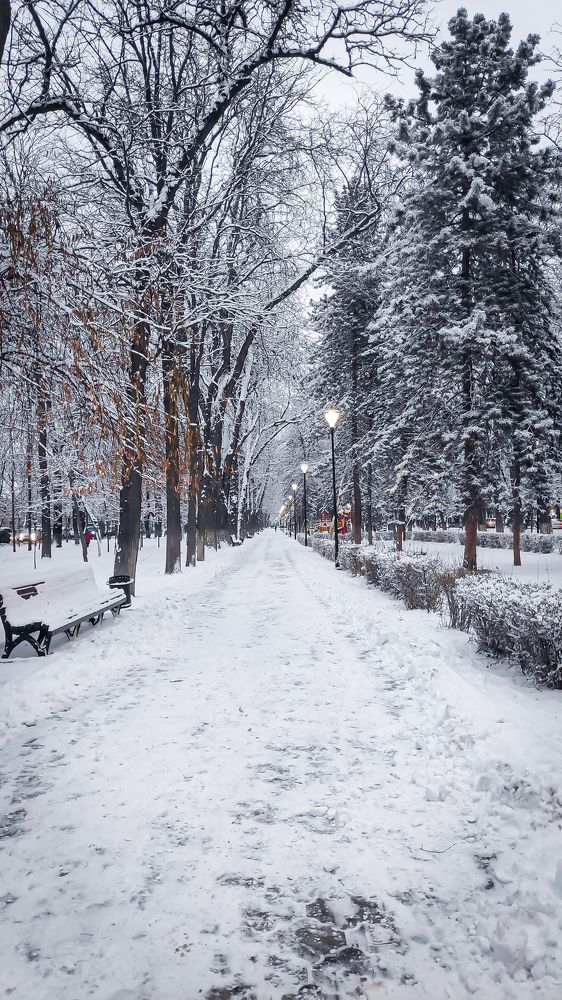 Photograph by Залина