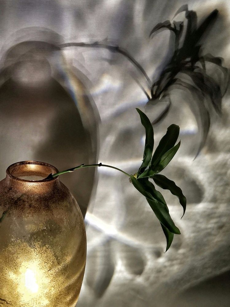 Задумчивость.