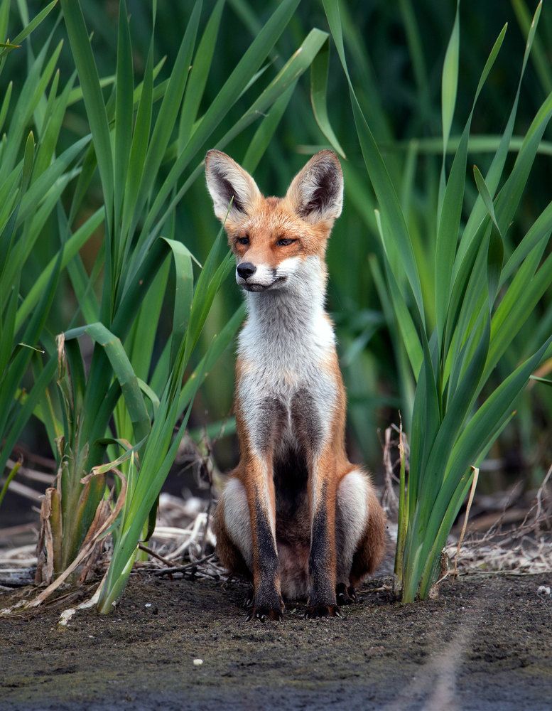 Photograph by Чернобай Анна