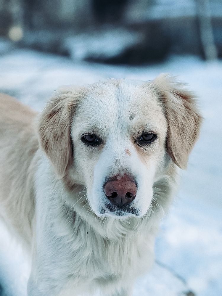 Photograph by Тимур Мельнков