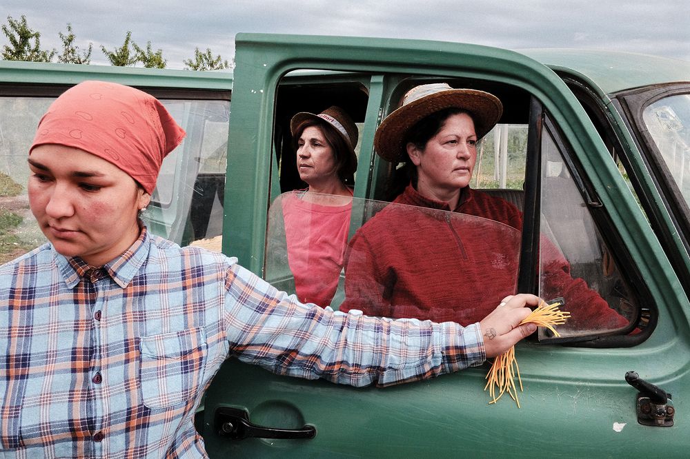 Photograph by Paolo Ricca