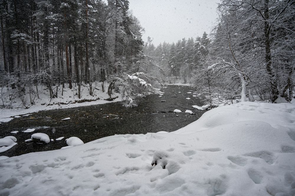 Фотография автора Vladimir Shevchenko