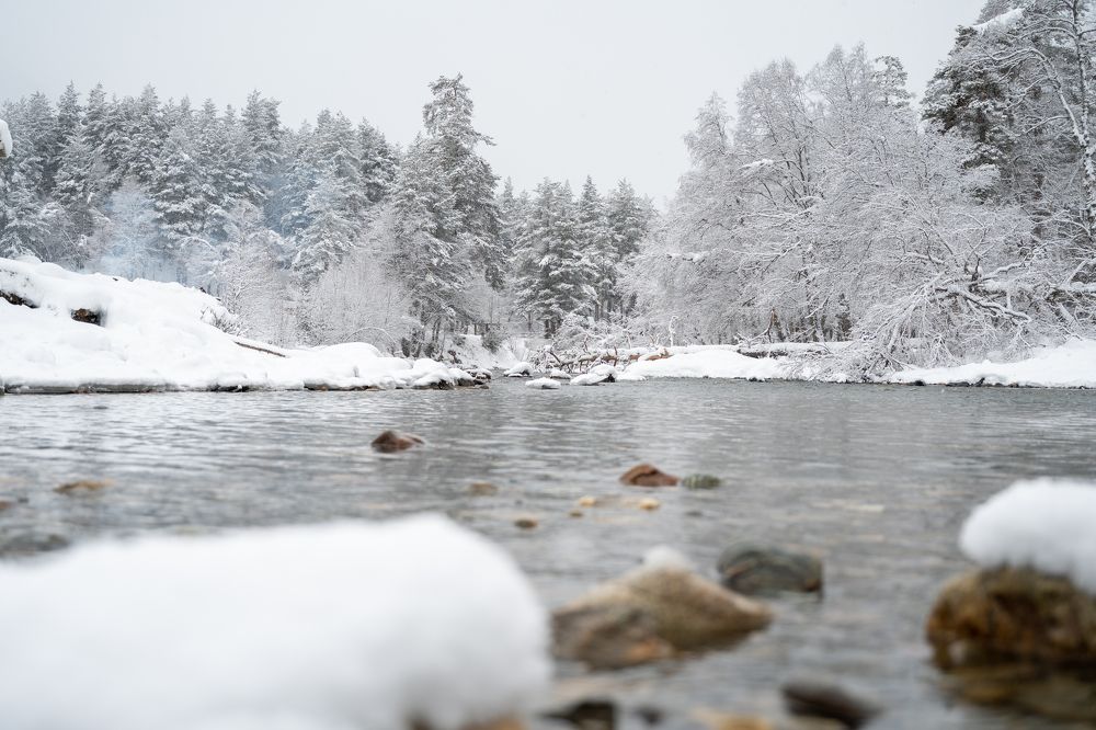 Фотография автора Vladimir Shevchenko