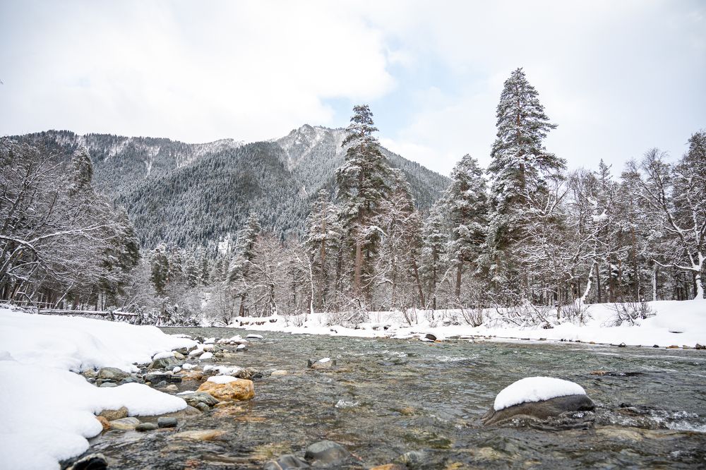 Фотография автора Vladimir Shevchenko