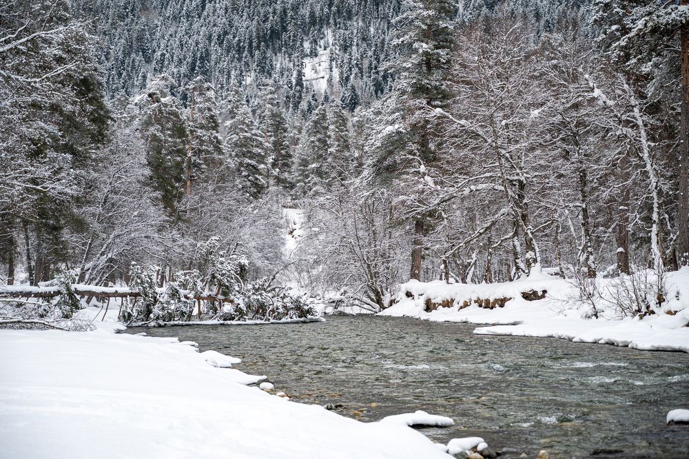 Фотография автора Vladimir Shevchenko
