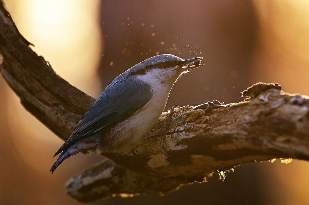 Photograph by Чернобай Анна