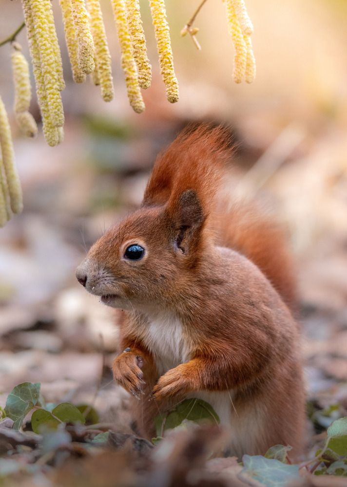 Photograph by Olena Pfister