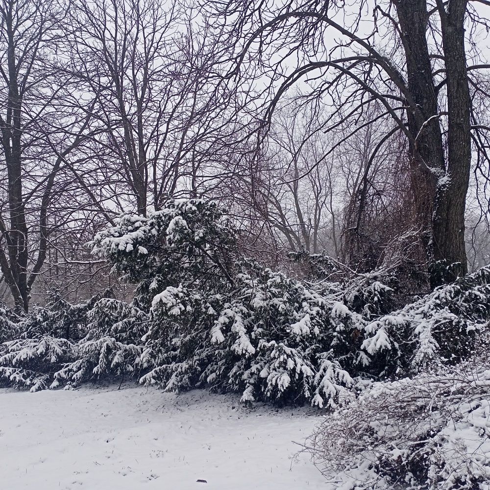 Photograph by Адамян Анна