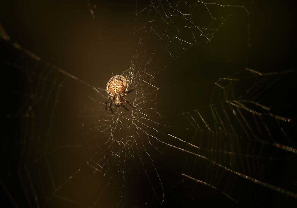 Photograph by Татьяна Новина