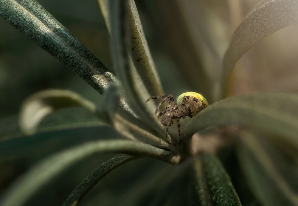 Photograph by Татьяна Новина