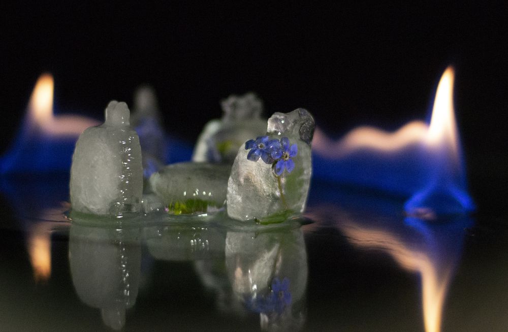 Photograph by Марина Магадиева