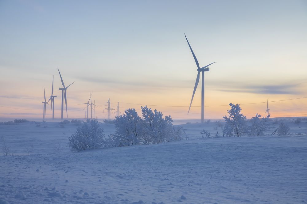 Photograph by Юлия Лазебная