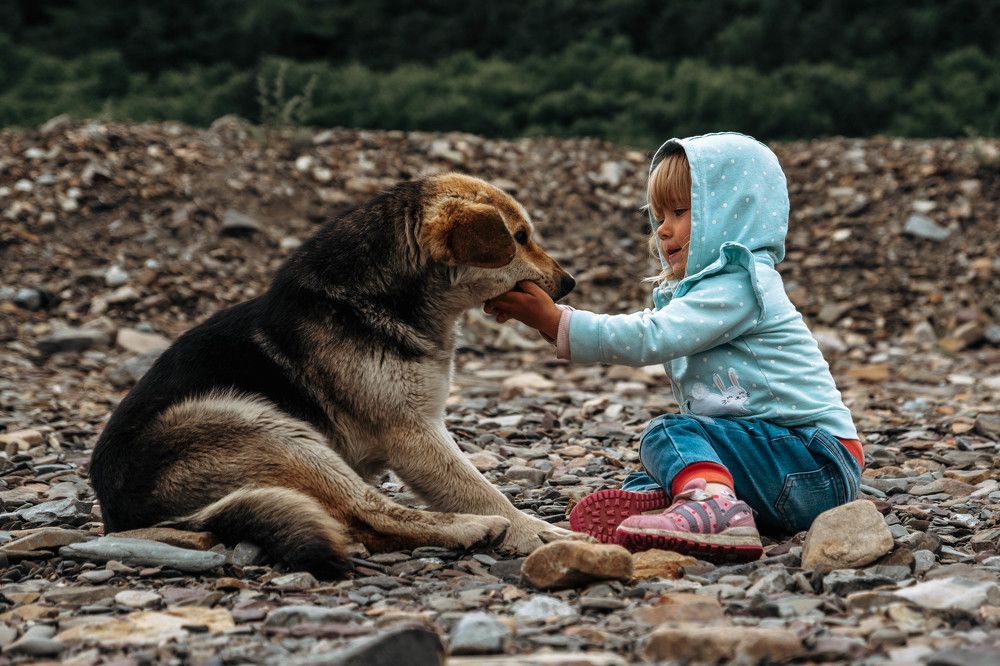 Photograph by Астафьева Ирина