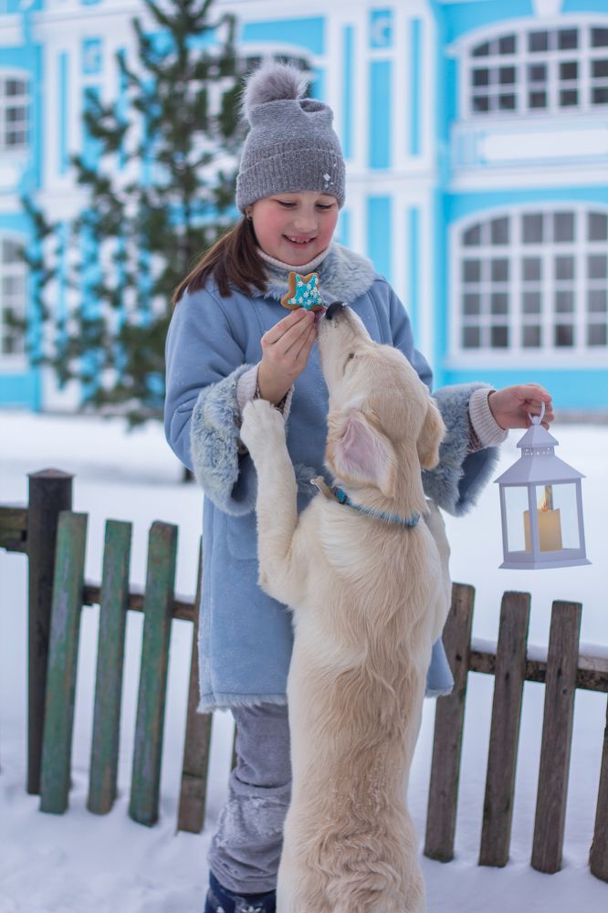 Крепкая дружба.