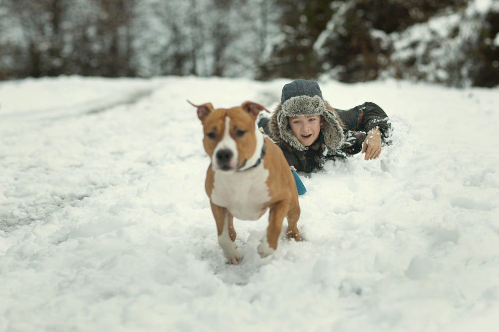 Photograph by Скорнякова