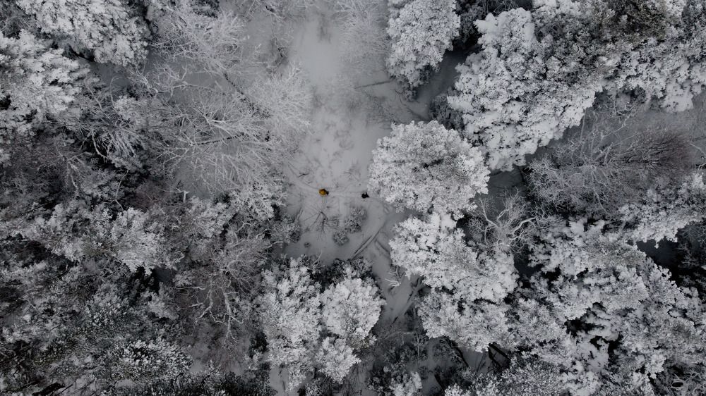 Photograph by Анастасия Маркина