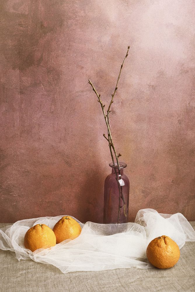 Photograph by Tatiana Kravchuk