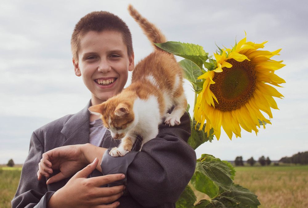 У подсолнуха