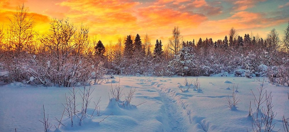Photograph by Илья Крутихин