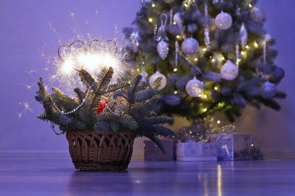 Photograph by Олеся Кучерова