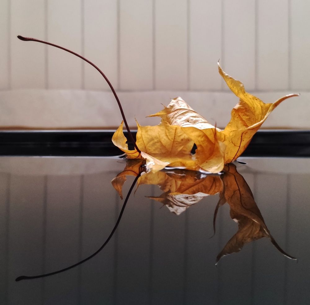 Photograph by Татьяна Шарко