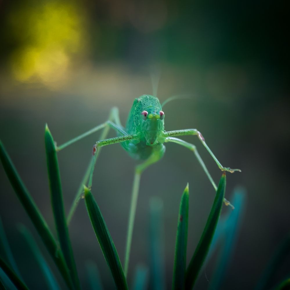 Photograph by Юлия Быкова