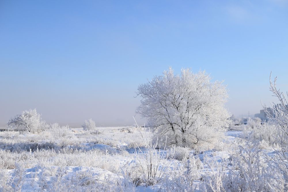 Photograph by Светлана Вербицкая