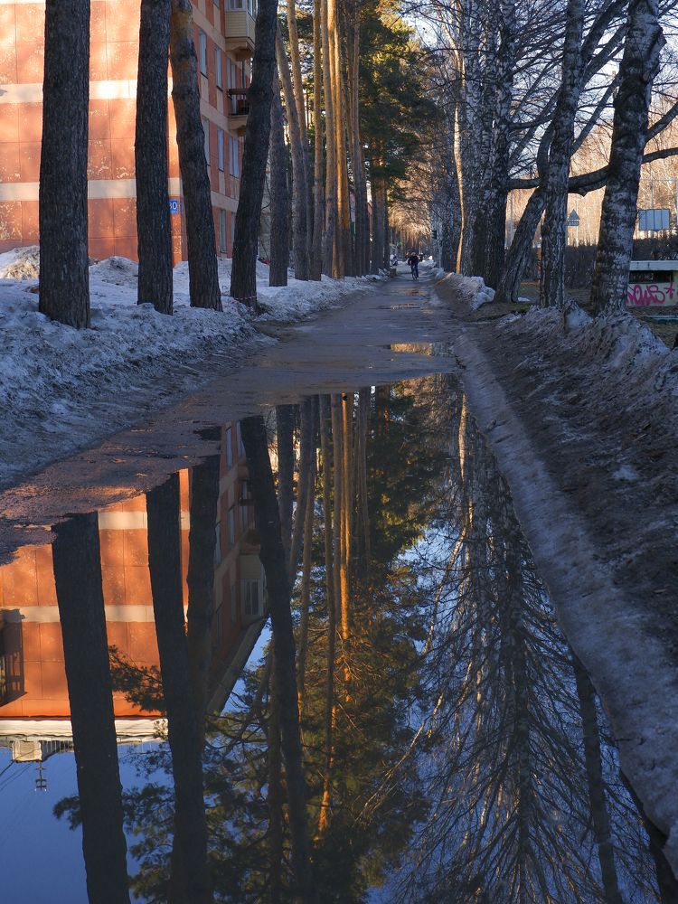 Photograph by Ольга Тюрина