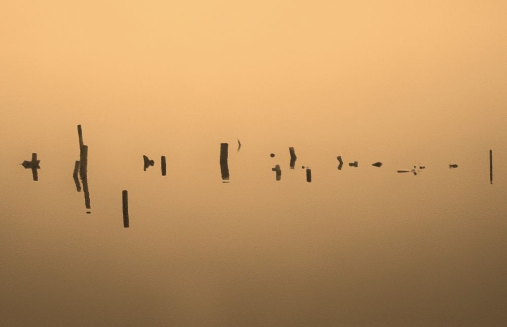 Photograph by Hieu Phan