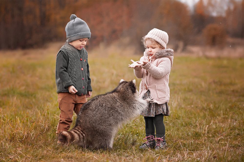 Закончилось угощение