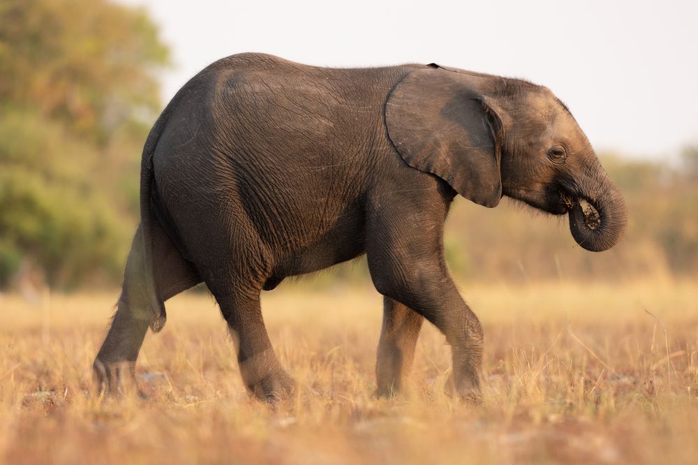 Photograph by Raquel Barao