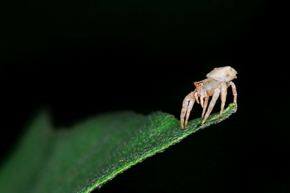 Фотография автора Suresh S S