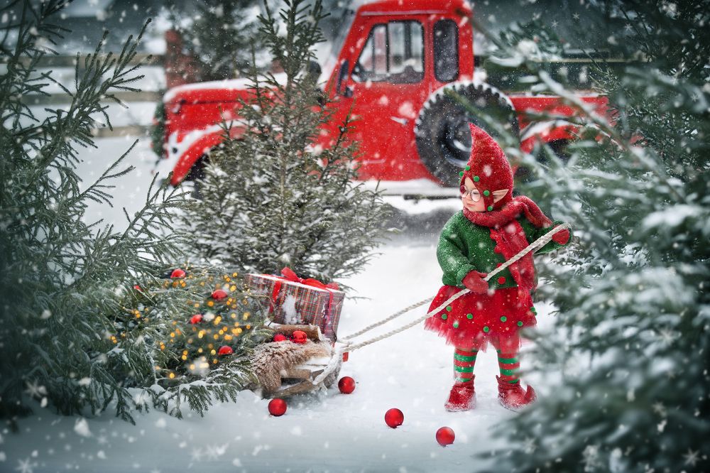 Photograph by Марина Айдинян