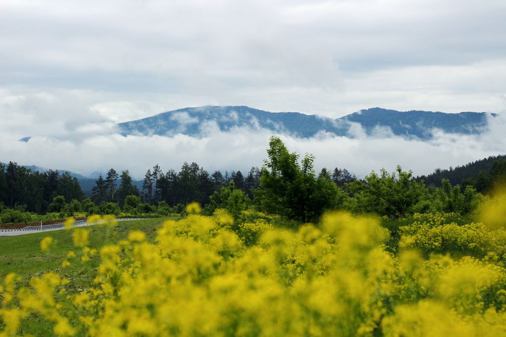 Photograph by Алина