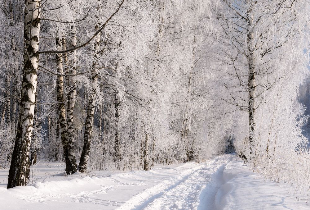 Photograph by Елена Потемина