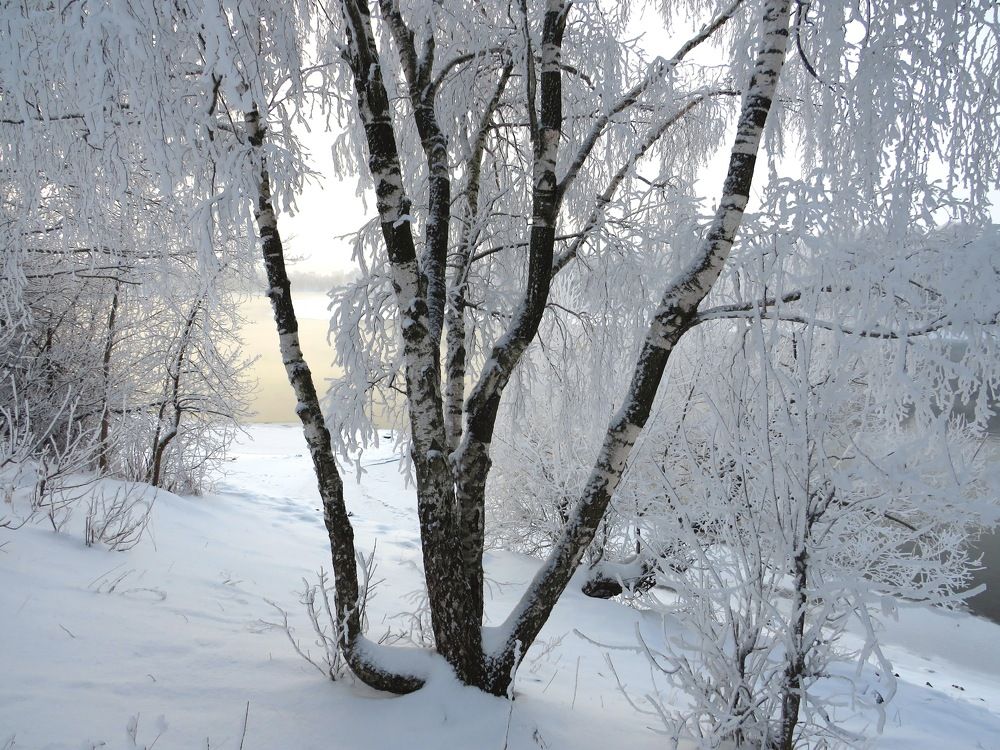 Снежное кружево