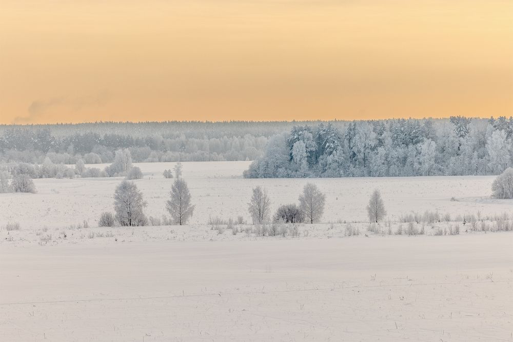 Photograph by Юрий Шурчков