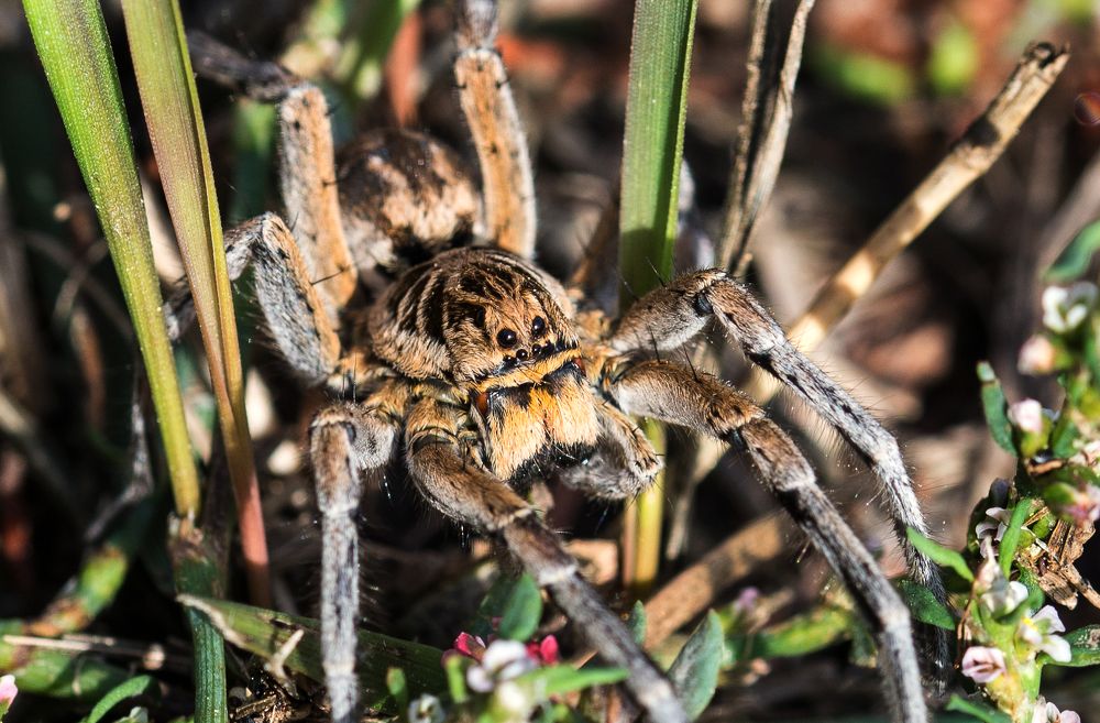 Photograph by Николай Багно