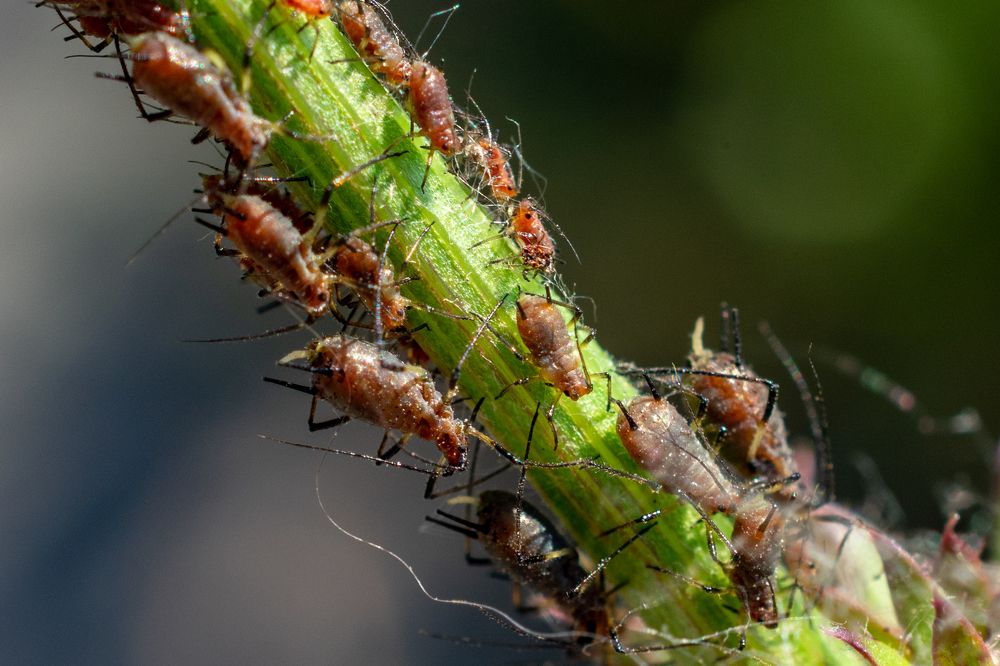 Photograph by Юлия Боровкова