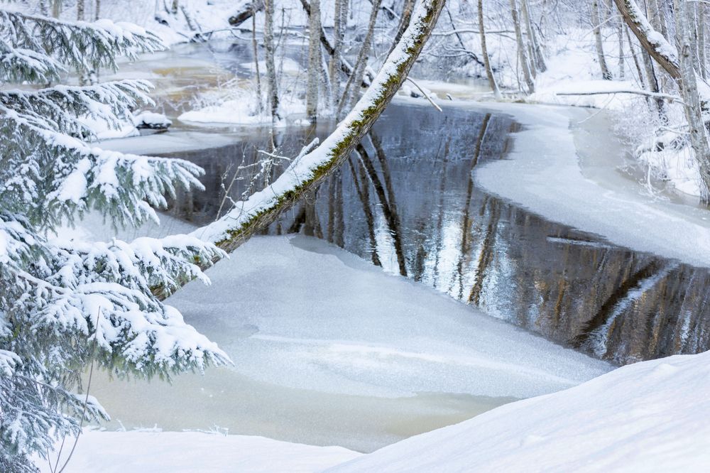 Photograph by Yana Raaga