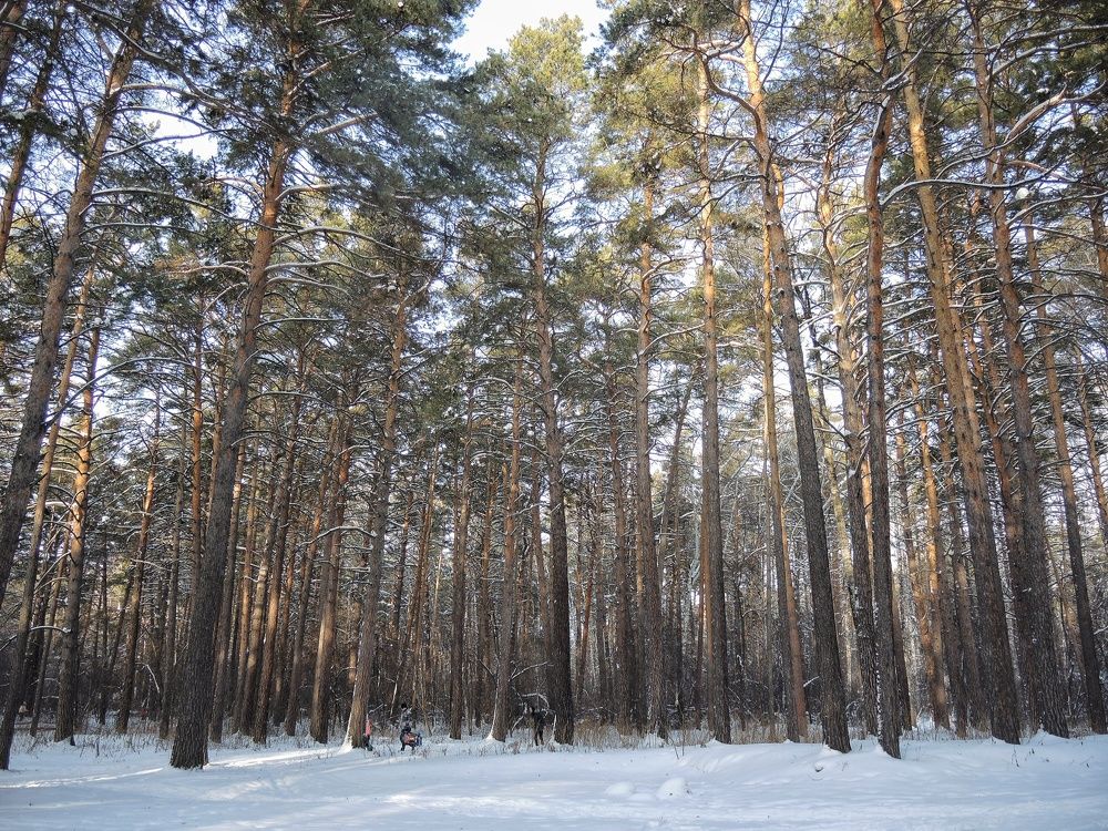 Photograph by Римма Большакова