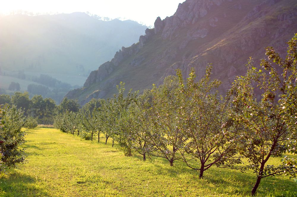 Photograph by Алина