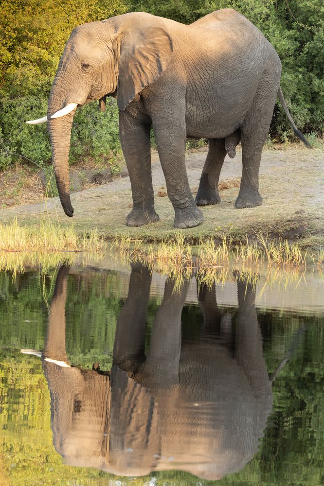 Photograph by Raquel Barao