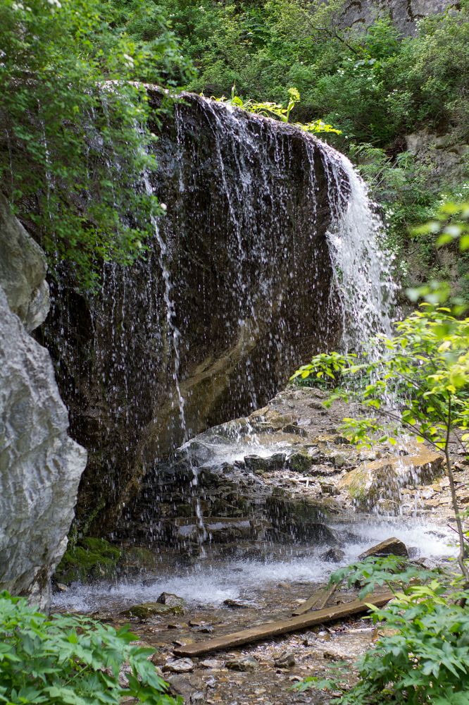 Photograph by Алина