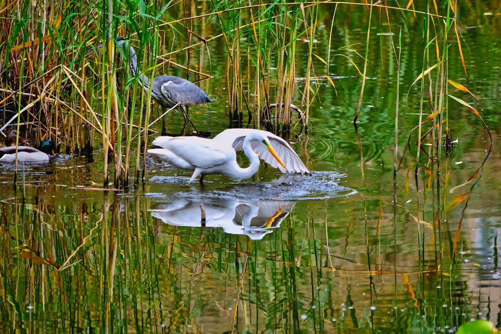 Photograph by Jānis Sērdienis