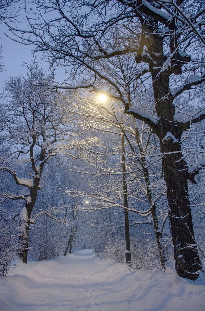 Photograph by Григорий Мелихов