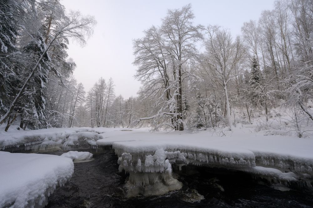 Photograph by Олег Иваницкий