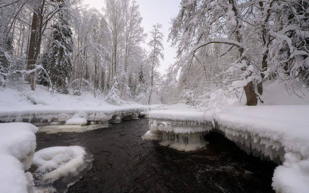 Photograph by Олег Иваницкий