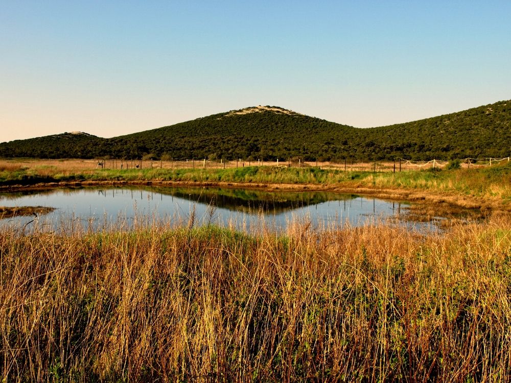 Фотография автора Ivana Kolenc