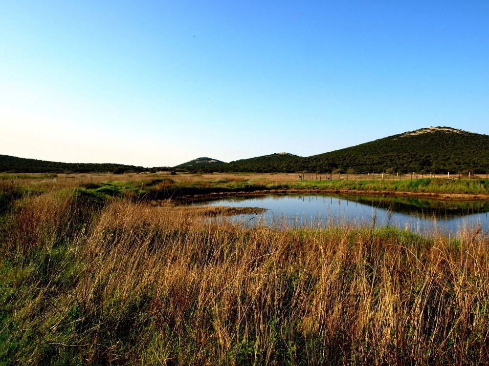 Фотография автора Ivana Kolenc